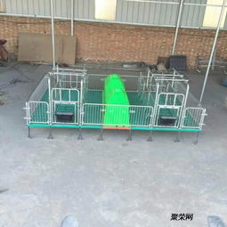 河北母猪产床厂家设计图与自制养猪设备大全 从定位栏到畜牧机械制造的全方位解析