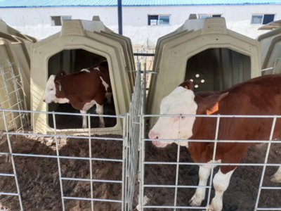 畜牧机械制造 现代畜牧业激活乡村振兴的“新引擎”